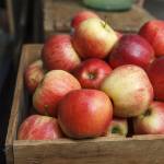 Farmstand Apple (Type) fragrance oil